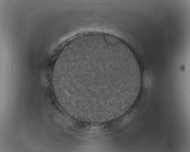 X0000115651494200912221320