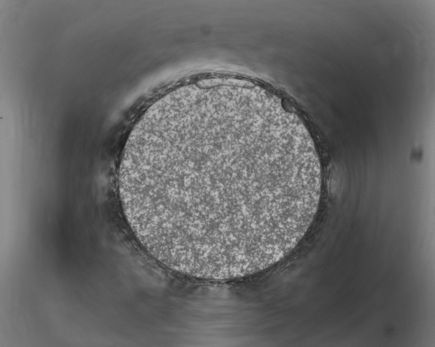 X0000115651495200912221320