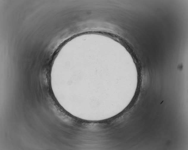 X0000115651497200912221320