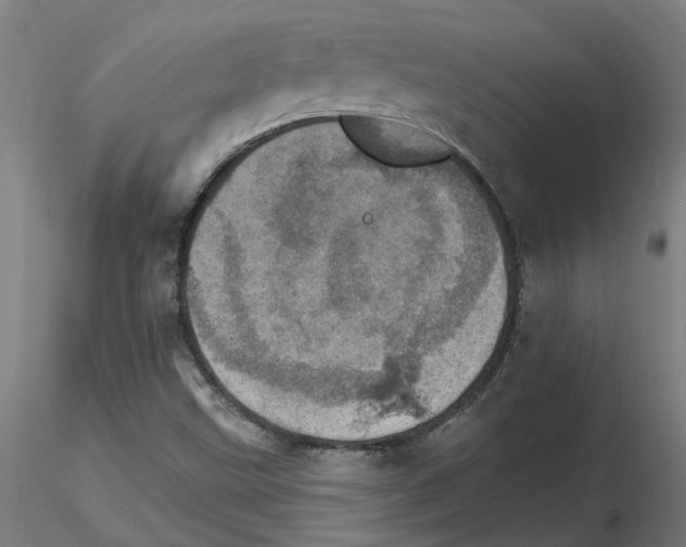 X0000115651499200912221320