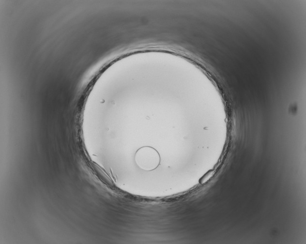 X0000115651502200912221320