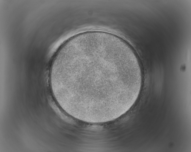 X0000115651503200912221320