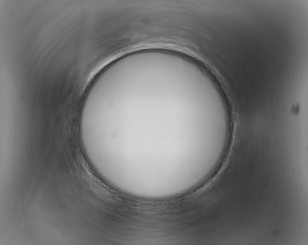 X0000115651505200912221320
