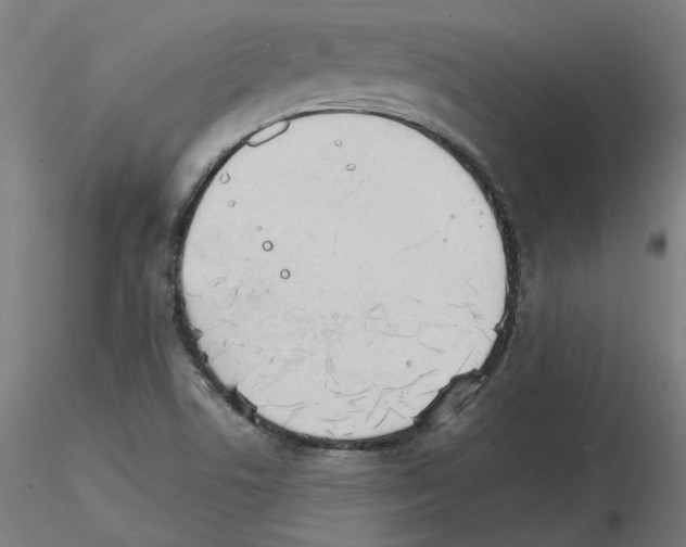 X0000115651506200912221320