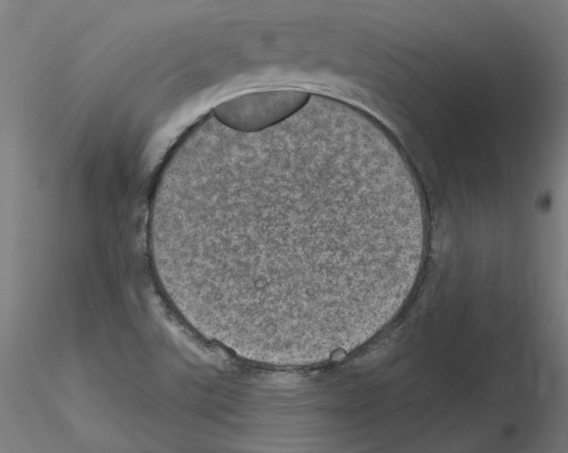 X0000115651507200912221320