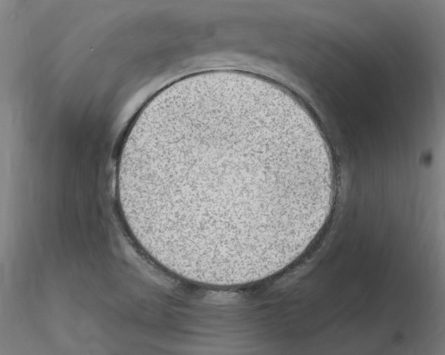 X0000115651509200912221320