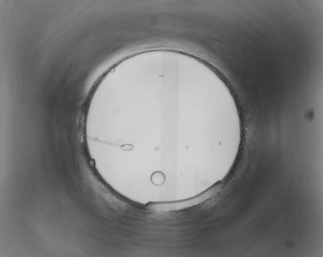 X0000115651510200912221320