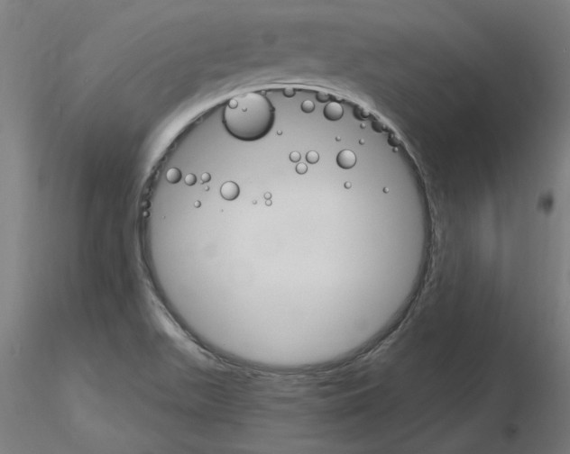 X0000115651511200912221320