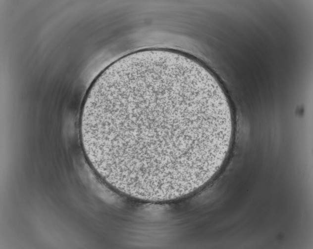 X0000115651513200912221320