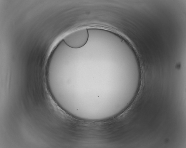 X0000115651514200912221320