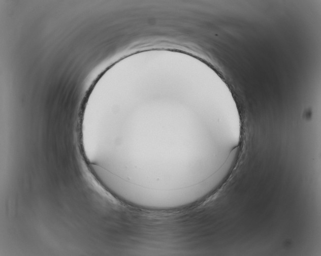 X0000115651518200912221320