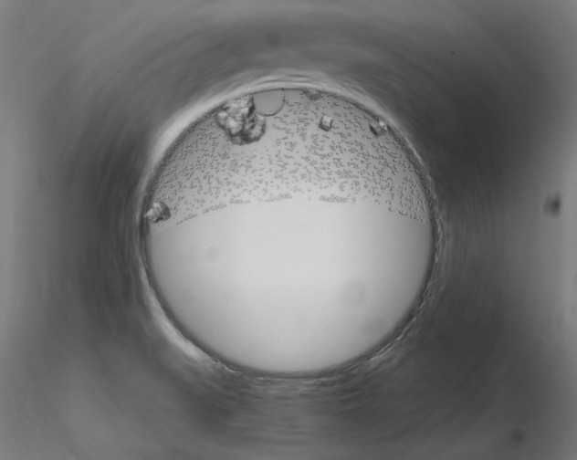 X0000115651519200912221320