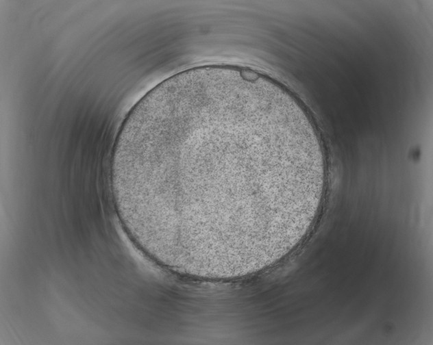 X0000115651521200912221320
