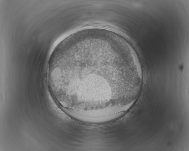 X0000115651522200912221320