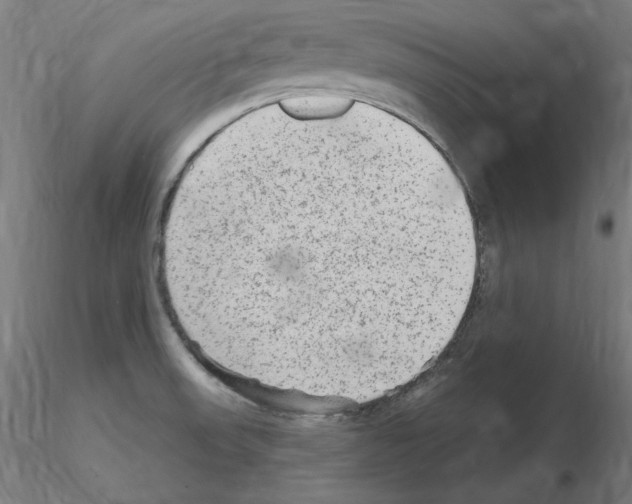 X0000115651523200912221320