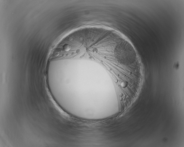 X0000115651525200912221320