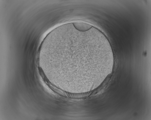 X0000115651526200912221320
