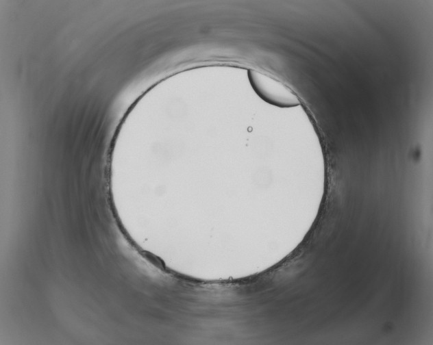 X0000115651527200912221320
