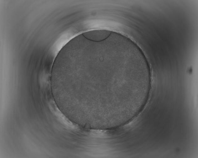 X0000115651529200912221320