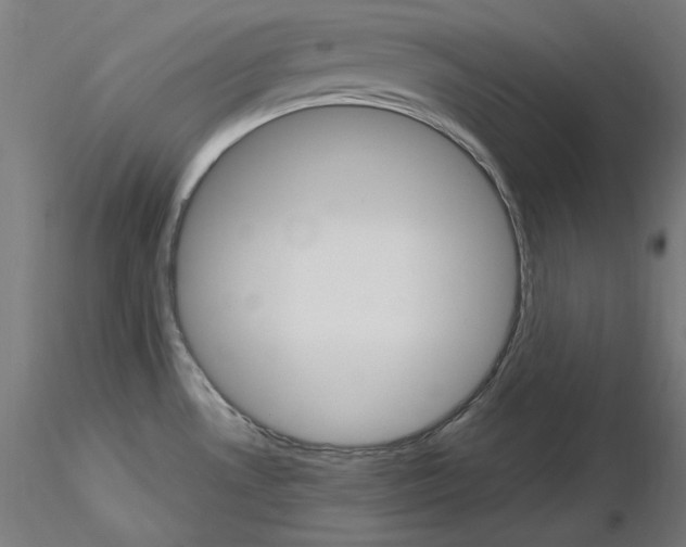 X0000115651530200912221320