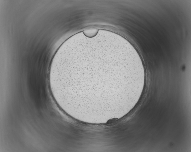 X0000115651533200912221320