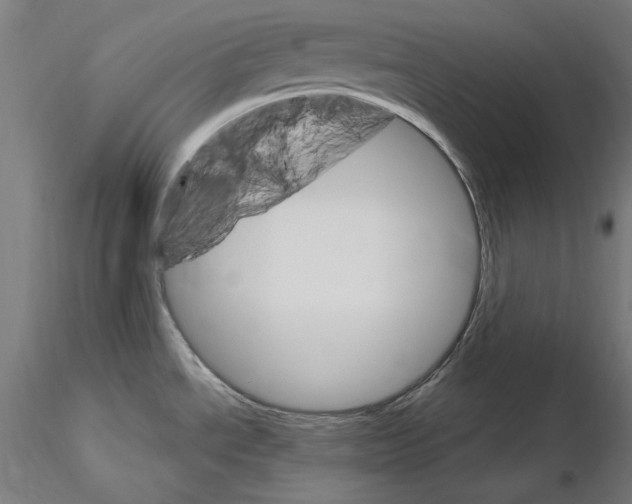 X0000115651534200912221320