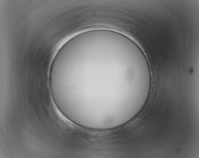 X0000115651535200912221320