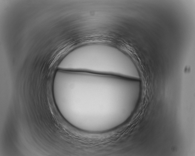 X0000115660001200911120954