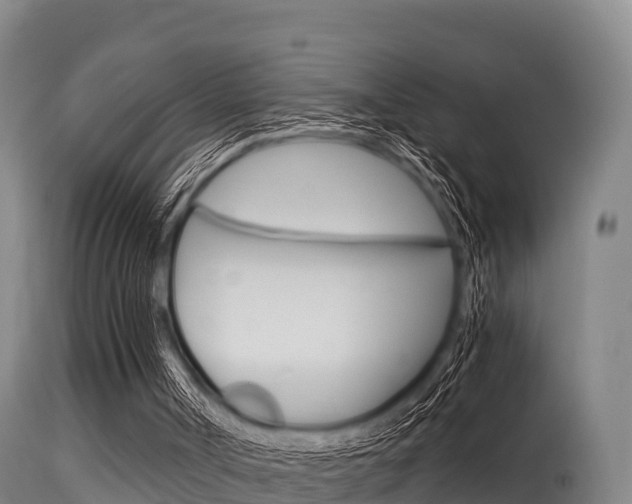 X0000115660002200911120954