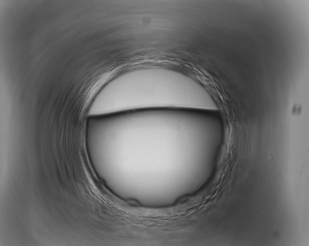 X0000115660003200911120954