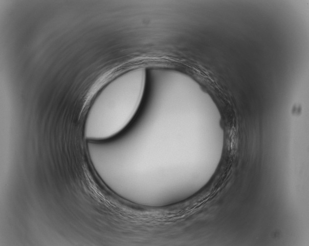 X0000115660004200911120954