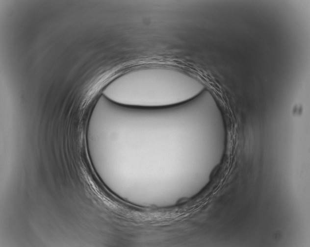 X0000115660005200911120954