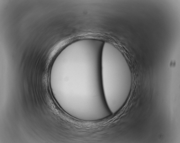 X0000115660006200911120954