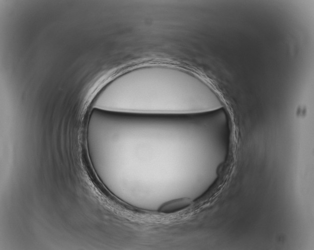 X0000115660007200911120954