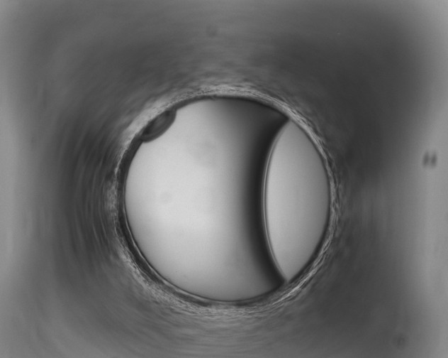 X0000115660008200911120954