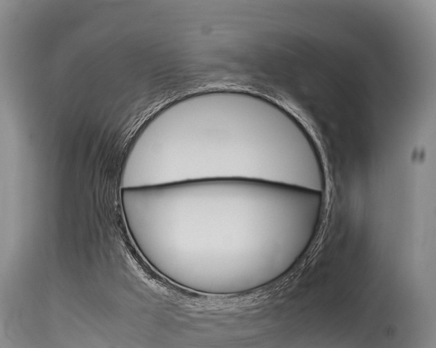 X0000115660009200911120954
