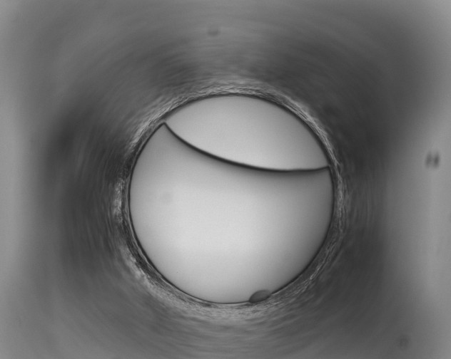 X0000115660010200911120954