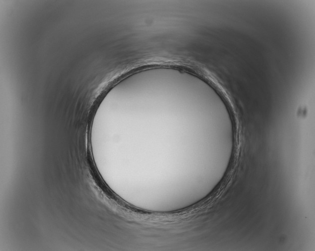 X0000115660011200911120954