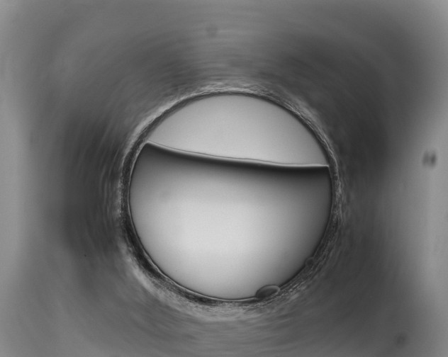 X0000115660012200911120954