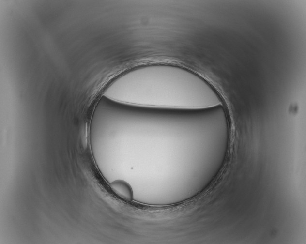 X0000115660013200911120954