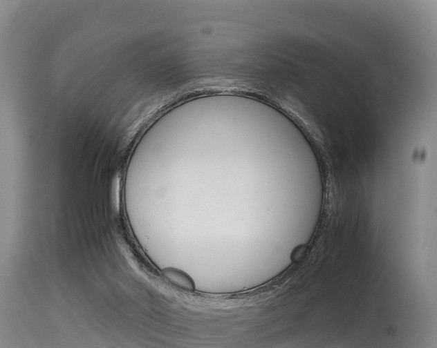 X0000115660014200911120954