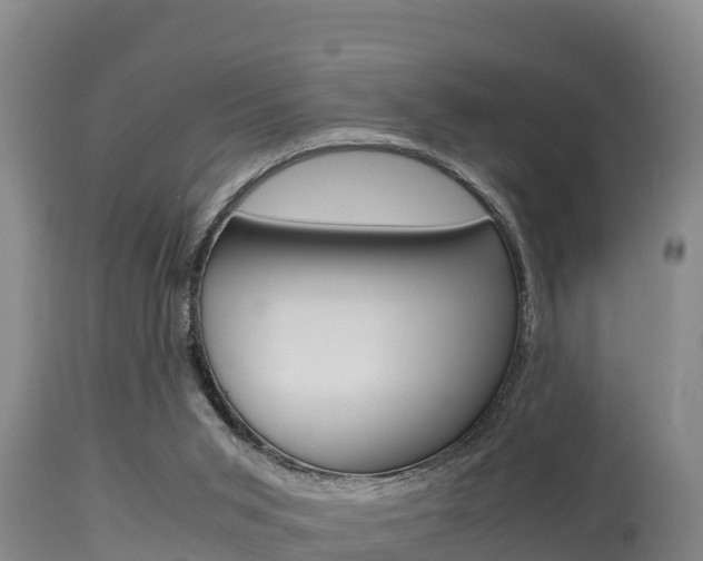 X0000115660015200911120954