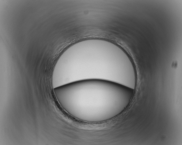 X0000115660017200911120954