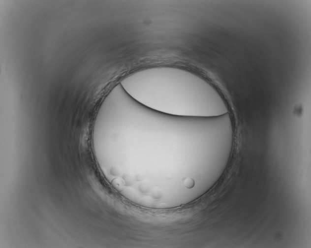 X0000115660018200911120954