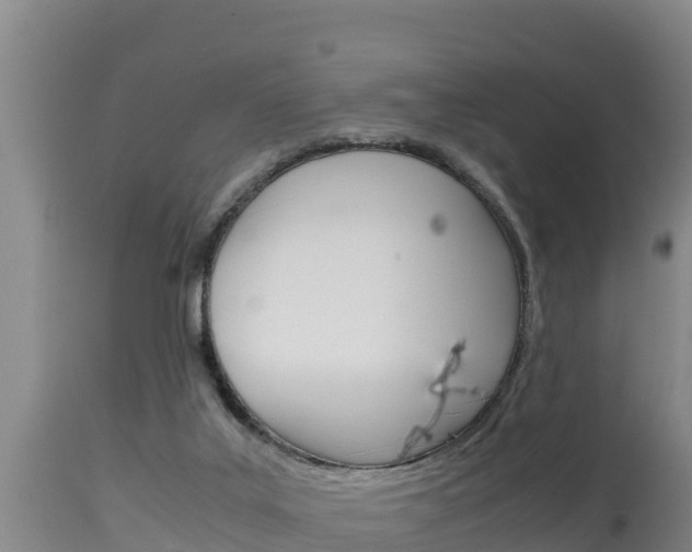 X0000115660019200911120954