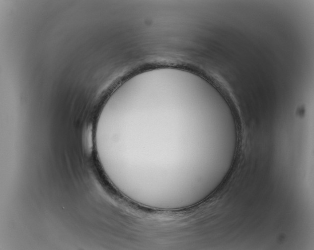 X0000115660020200911120954
