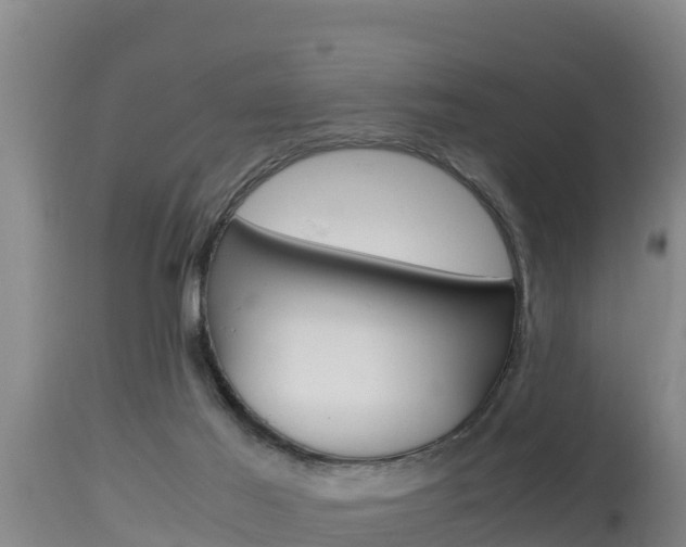 X0000115660021200911120954