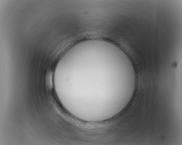 X0000115660022200911120953