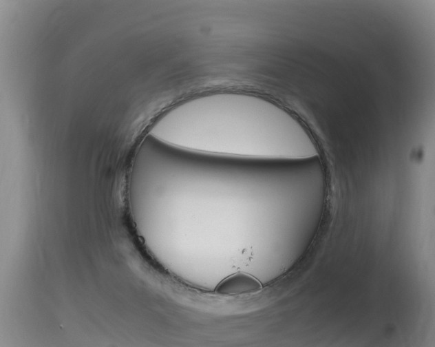 X0000115660023200911120953