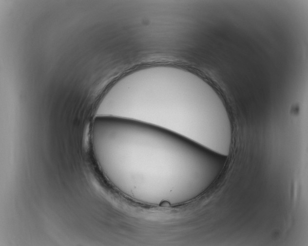 X0000115660024200911120953